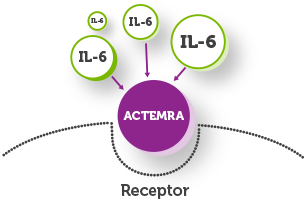 How is ACTEMRA believed to work